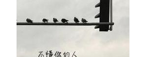 让你到天明不敢入睡的句子,古代描写天明了的句子在线等挺急的？ ...