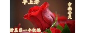 适合温馨发朋友圈的句子,早安温馨句子朋友圈简短？
