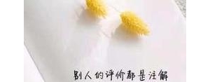 暖心短句小清新12字6,一食一味暖心句子？