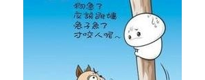 精辟到能毒死人的句子,精辟到毒死人的句子不知天高地厚又天九地十？ ...
