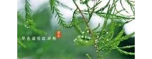春雨迎新春的句子,春节雨天唯美句子？