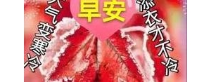 下雪的句子早安,下雪天早上问候语高情商？
