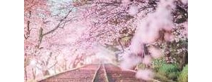 看风景的心情的句子,看风景的心情句子？