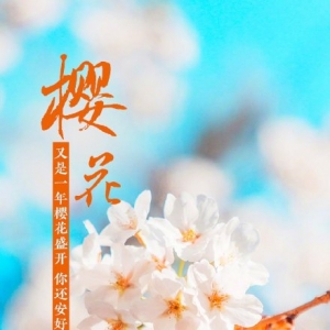 春天下雨文案短句干净小清新,关于“雨中鲜花”的句子有哪些？ ...