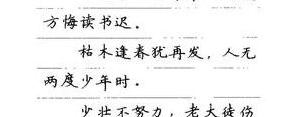 有文武的句子,钢笔刻字寓意好的谚语？