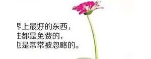 告别依赖的短句子,失去依赖的唯美句子