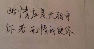 我姓袁的专属句子,我姓袁，然后怎么怎么的句子。好听的，诗意一点的？ ...