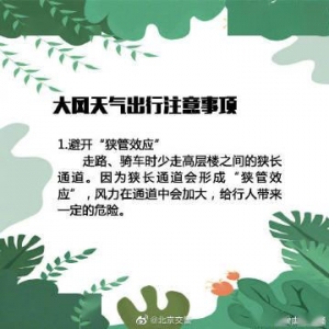 春天的大风写句子,春天风大的句子短句？