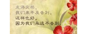 表达人间真情的短句,人间情多，别错过的句子？