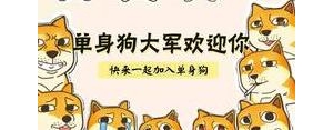 单身狗的搞笑句子,穷的说说搞笑句子？