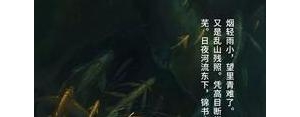 无所谓输赢的句子,输赢无所谓句子？