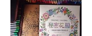 描写花园的优美句子摘抄,秘密花园好词好句好段摘抄？