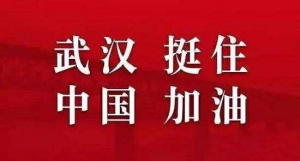 白衣天使逆行者简短句子,赞美白衣天使逆行者句子？
