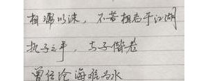 我曾经的句子,以“我曾经”为开头，仿写一组句子，表达要明确，结构要完整？ ...