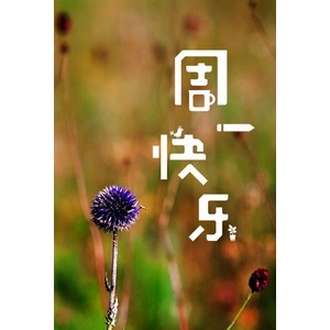 适合星期一的早安短句,周一清晨的唯美句子？