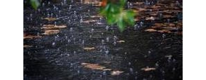 秋雨描写的句子大全,描写秋雨的特点的句子？