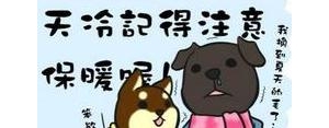 天气寒冷的搞笑短句,形容凉凉的幽默句子？