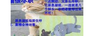 屏息凝视的句子,凝视造句子二年级上册？