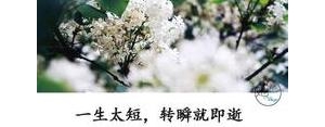 男人要珍惜自己的句子,下辈子我再好好过的说说？