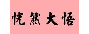 形容恍然大悟的句子,形容“恍然大悟”的句子有哪些？