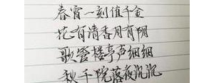 赞颂苏轼的句子,赞美苏轼的优美段落？