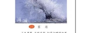 文中描写雾淞这一奇观的句子,雾凇是部编版几年级的课文？