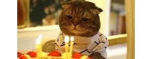 生日快乐朋友圈简短句子怎么发?生日快乐怎么发朋友圈短句子？ ...