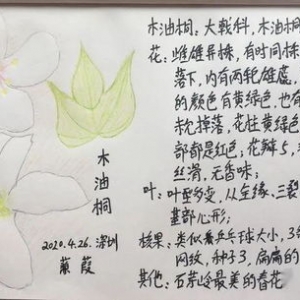 铭记今天的美好句子,记住美好时光的句子？