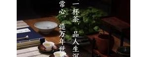 分亨的句子,喝茶谈业务朋友圈句子？