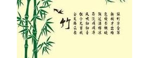 竹子的褒义词和贬义词句子,从褒贬两个角度来描写竹子？