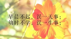 简单的太阳句子,太阳造句大全100句？