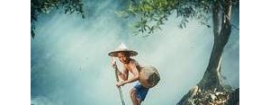 美好心境的句子,拥有一份淡淡的心情,就是最美的心境的句子？ ...