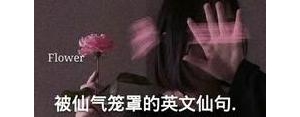 特别仙的句子英文,仙英语怎么写？