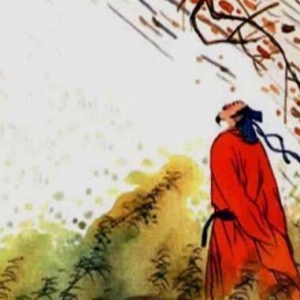 二月写花的句子,每个月的代表花是什么？