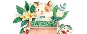 抖音温暖文案短句,抖音上的暖心句子有哪些？