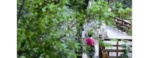 景区清新小短句,赞美山间清新幽静句子？