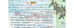 五年级语文上册桂花雨描写桂花香气的句子？(精选10条)