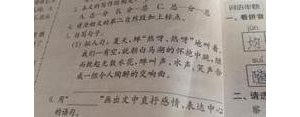 仿写句子的答案,仿写句子大全及答案？