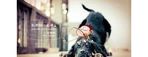 乐观说说短句子,乐观心态短句100句？