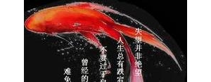 古风短句积极向上,古风励志句子？