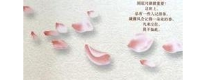 风会记得一朵花的香短句摘抄,《风会记得每一朵花的香》优美句子摘抄，急？ ...