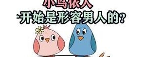 小鸟依人的句子？(精选10条)