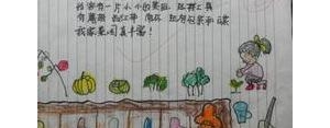 描写我在菜地玩耍的的句子,关于在菜地很快乐的句子？