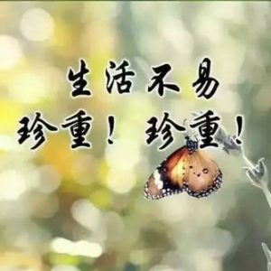 关于结核病的短句,有关“花”的伤感句子有哪些？
