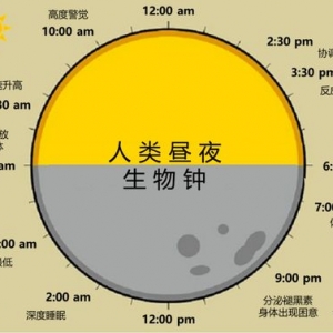 形容生物钟的句子,调整生物钟的句子？