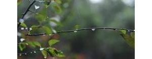 秋天和雨的唯美句子,多雨之秋的唯美句子？