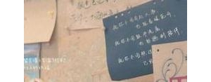 愿意分享小说的句子,分享书的文案？