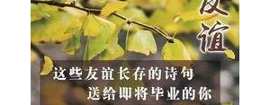 关于友谊长存的句子,表达友谊长存的句子有哪些？