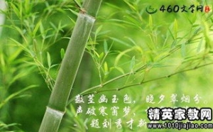 描写竹子的优美句子20字左右,描写竹子的优美句子50字？