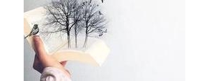 最凉薄不过人心的句子,人性薄凉，爱错人的句子？